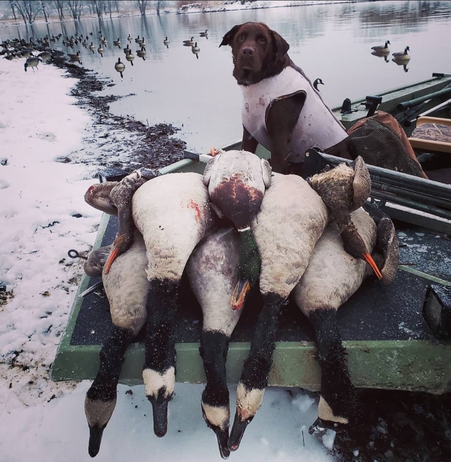 CatManDue Waterfowl Chapter hunt 7